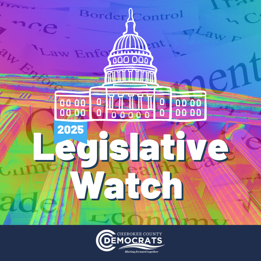 2025 Legislative Watch