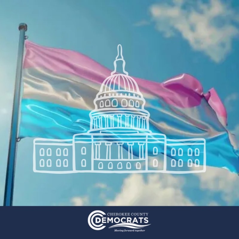 Legislative Watch Trans Flag