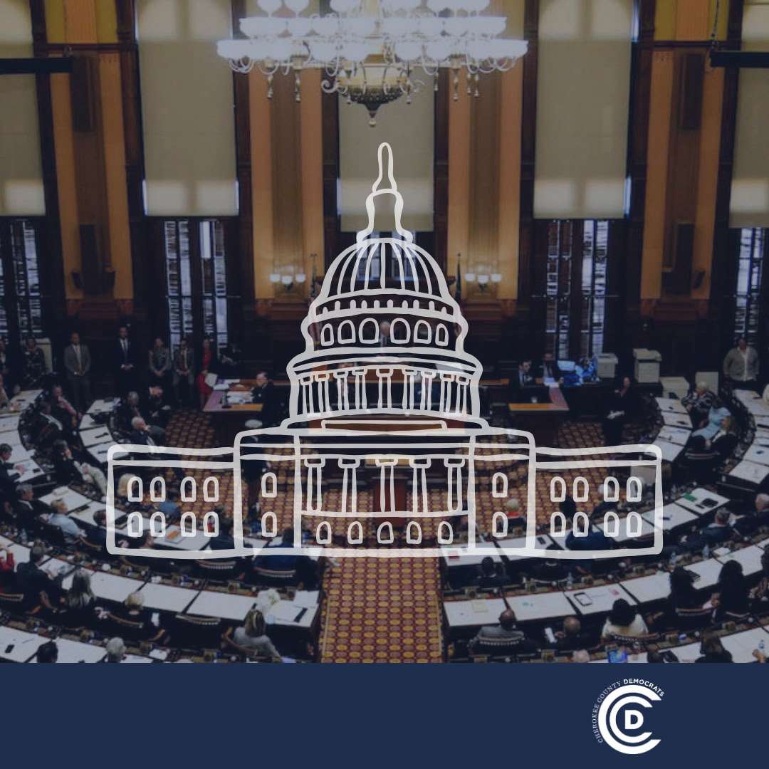 Georgia House of Representatives – 2.19.2025 Committee Meetings